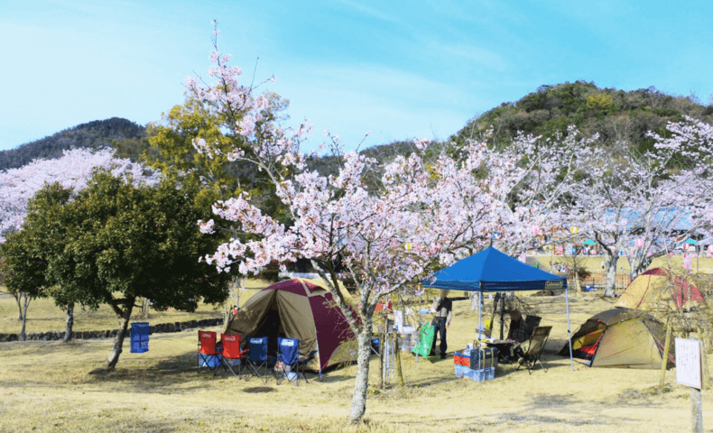 滋賀県へ花見キャンプ