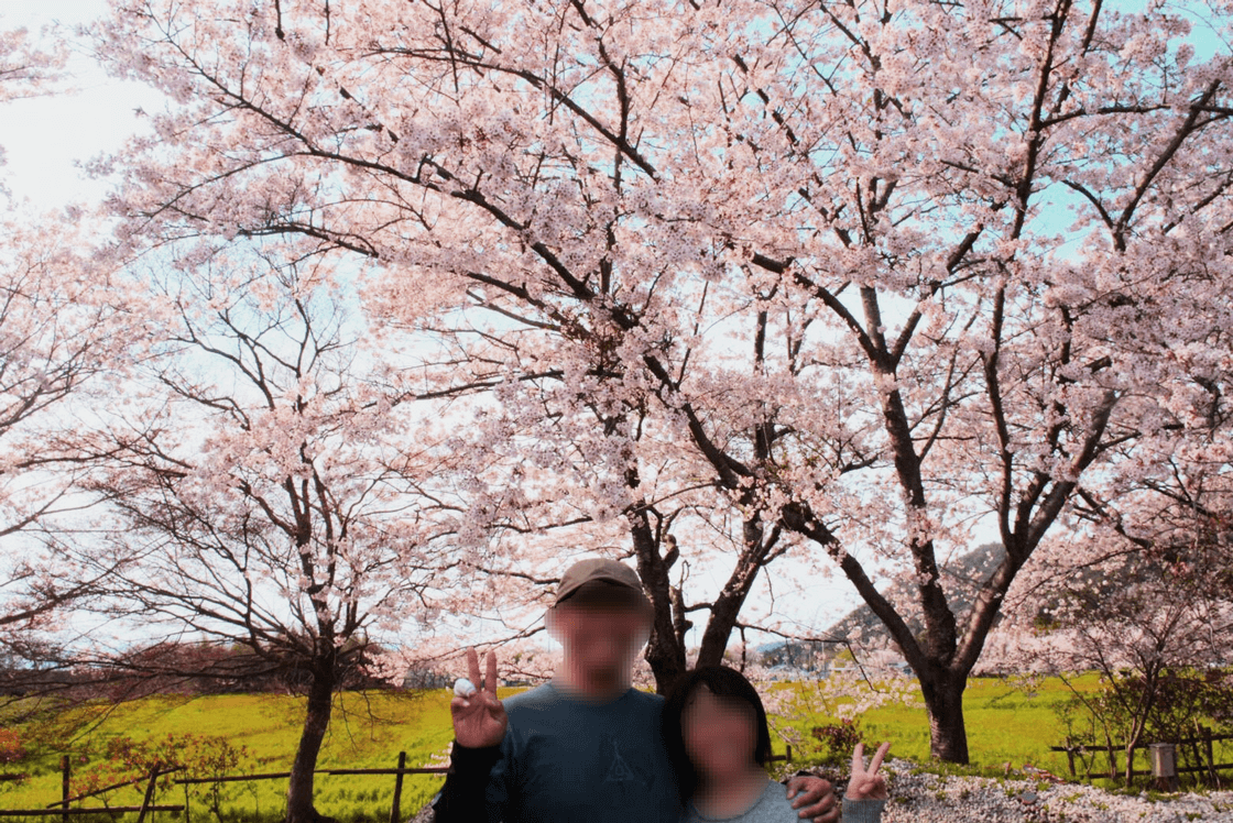 満開の桜と夫婦